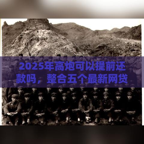 2025年高炮可以提前还款吗，整合五个最新网贷查询平台