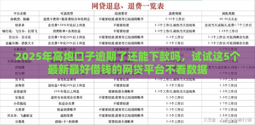 2025年高炮口子逾期了还能下款吗，试试这5个最新最好借钱的网贷平台不看数据