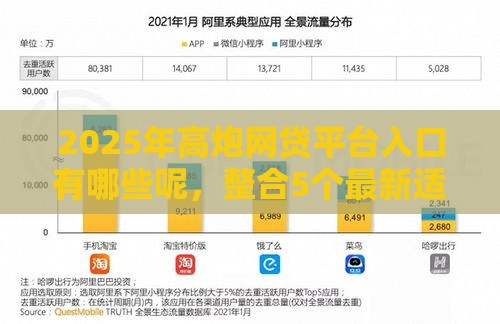 2025年高炮网贷平台入口有哪些呢，整合5个最新适合大学生的贷款平台