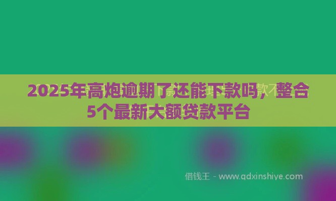 2025年高炮逾期了还能下款吗，整合5个最新大额贷款平台