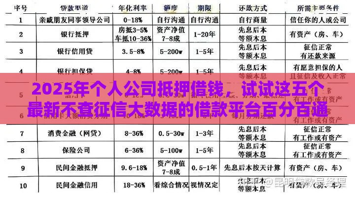 2025年个人公司抵押借钱，试试这五个最新不查征信大数据的借款平台百分百通过