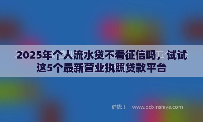 2025年个人流水贷不看征信吗，试试这5个最新营业执照贷款平台
