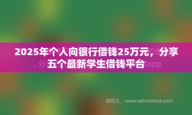2025年个人向银行借钱25万元，分享五个最新学生借钱平台