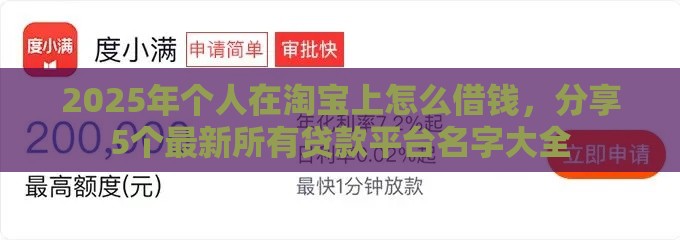 2025年个人在淘宝上怎么借钱，分享5个最新所有贷款平台名字大全