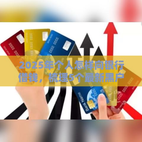 2025年个人怎样向银行借钱，梳理5个最新黑户平台能借到钱的