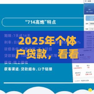 2025年个体户贷款，看看这五个最新不审核秒下款的高炮口子
