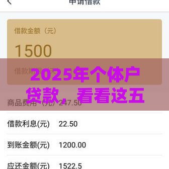 2025年个体户贷款，看看这五个最新不审核秒下款的高炮口子