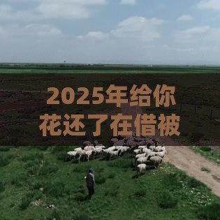 2025年给你花还了在借被拒了，整理5个最新极优花贷款平台