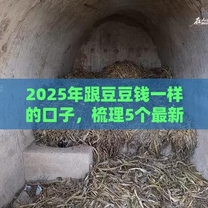 2025年跟豆豆钱一样的口子，梳理5个最新征信逾期严重,,,平台能下款