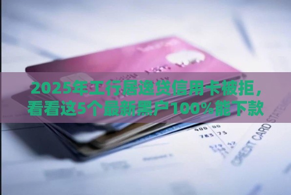 2025年工行居逸贷信用卡被拒，看看这5个最新黑户100%能下款的平台