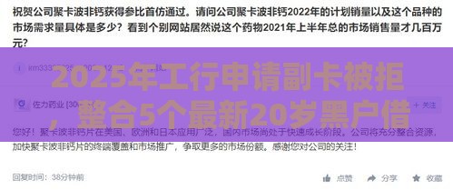 2025年工行申请副卡被拒，整合5个最新20岁黑户借钱平台秒过小额