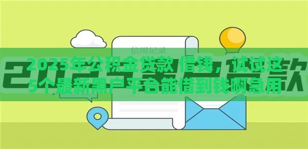 2025年公积金贷款 借钱，试试这5个最新黑户平台能借到钱啊急用