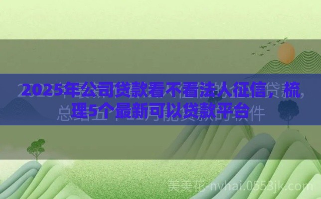 2025年公司贷款看不看法人征信，梳理5个最新可以贷款平台