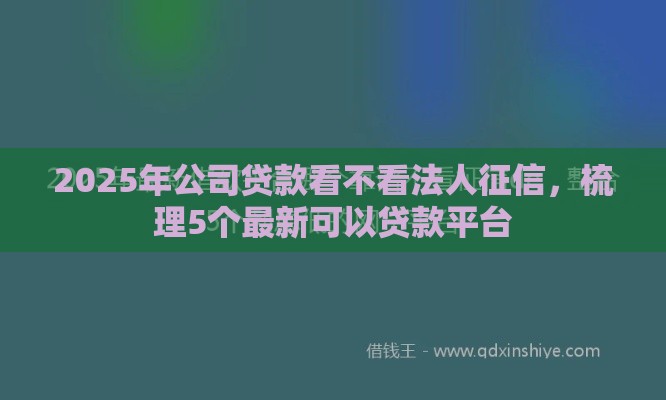 2025年公司贷款看不看法人征信，梳理5个最新可以贷款平台