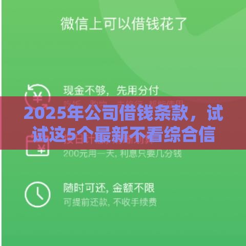 2025年公司借钱条款，试试这5个最新不看综合信用评分能下款的软件