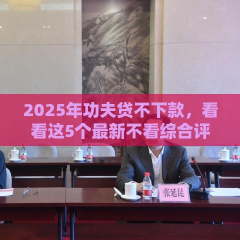 2025年功夫贷不下款,看看这5个最新不看综合评分夜间直接能下款又正规的平台 2025年功夫贷不下款,看看这5个最新不看综合评分夜间直接能下款又正规的平台