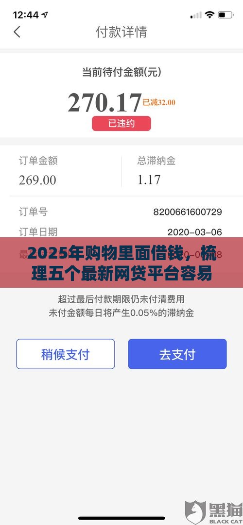 2025年购物里面借钱，梳理五个最新网贷平台容易下款