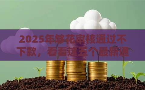 2025年够花审核通过不下款,看看这五个最新通过率高的小额贷款平台 2025年够花审核通过不下款,看看这五个最新通过率高的小额贷款平台