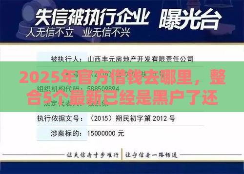 2025年官方借钱去哪里，整合5个最新已经是黑户了还能借到钱的软件