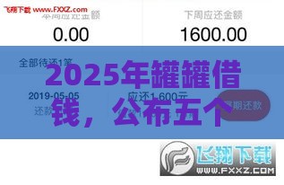 2025年罐罐借钱，公布五个最新黑户网贷必下款的平台