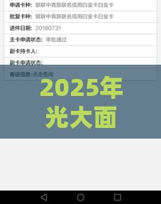 2025年光大面签被拒原因，整合五个最新贷款加盟平台