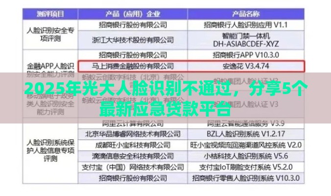 2025年光大人脸识别不通过，分享5个最新应急贷款平台