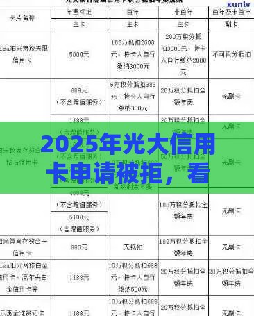 2025年光大信用卡申请被拒，看看这五个最新哪些低息可靠可以分12期以上的借款平台