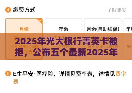 2025年光大银行菁英卡被拒，公布五个最新2025年黑户可以下款的口子