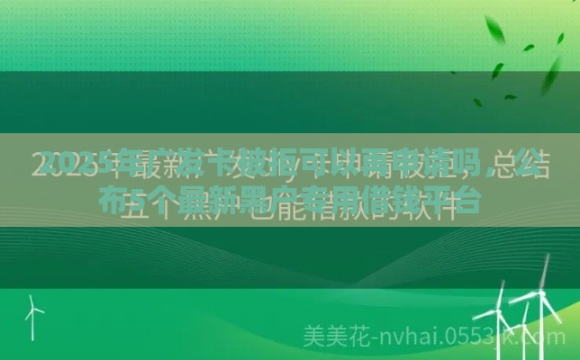 2025年广发卡被拒可以再申请吗，公布5个最新黑户专用借钱平台