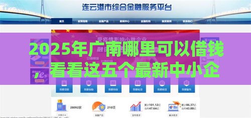 2025年广南哪里可以借钱，看看这五个最新中小企业贷款平台
