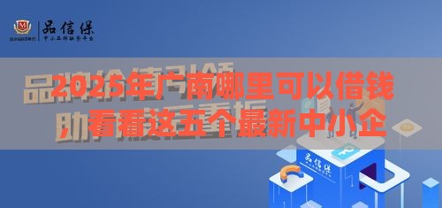 2025年广南哪里可以借钱，看看这五个最新中小企业贷款平台