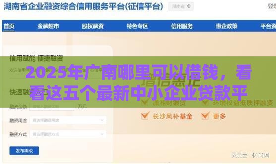 2025年广南哪里可以借钱，看看这五个最新中小企业贷款平台