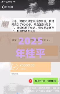 2025年桂平借钱救急，公布五个最新强制放款口子