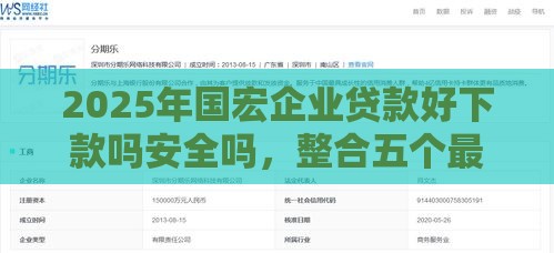 2025年国宏企业贷款好下款吗安全吗，整合五个最新信誉差秒通过借款平台
