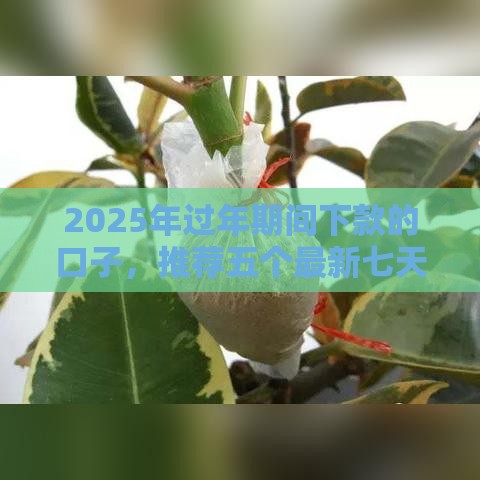 2025年过年期间下款的口子，推荐五个最新七天贷款平台