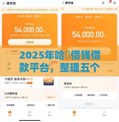 2025年哈啰借钱借款平台，整理五个最新21岁贷款平台