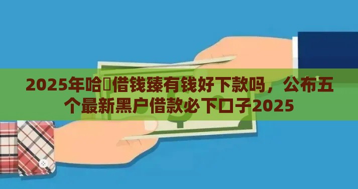 2025年哈啰借钱臻有钱好下款吗，公布五个最新黑户借款必下口子2025