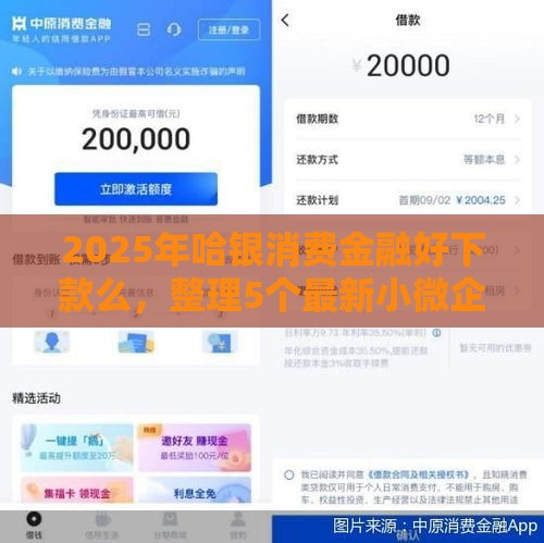 2025年哈银消费金融好下款么，整理5个最新小微企业贷款平台