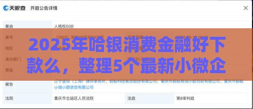 2025年哈银消费金融好下款么，整理5个最新小微企业贷款平台