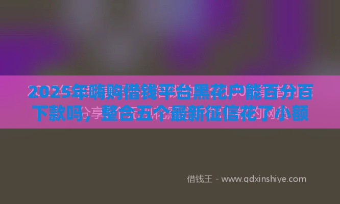 2025年嗨购借钱平台黑花户能百分百下款吗，整合五个最新征信花了小额贷款正规平台