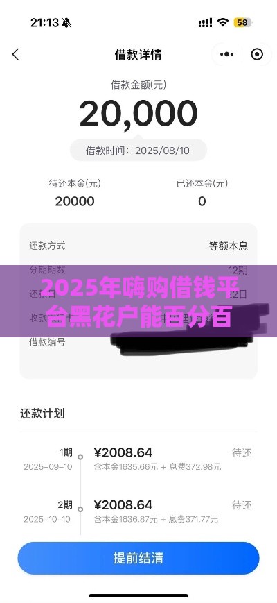 2025年嗨购借钱平台黑花户能百分百下款吗，整合五个最新征信花了小额贷款正规平台
