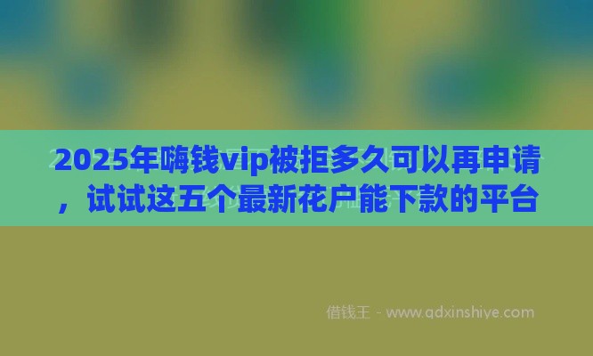 2025年嗨钱vip被拒多久可以再申请，试试这五个最新花户能下款的平台