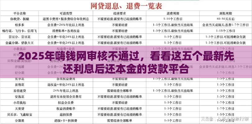 2025年嗨钱网审核不通过，看看这五个最新先还利息后还本金的贷款平台