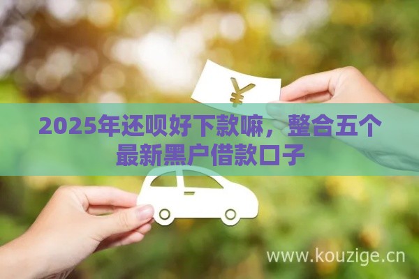 2025年还呗好下款嘛，整合五个最新黑户借款口子
