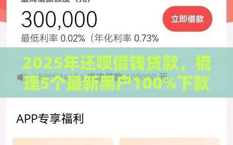 2025年还呗借钱贷款，梳理5个最新黑户100%下款口子