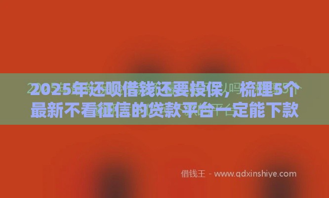 2025年还呗借钱还要投保，梳理5个最新不看征信的贷款平台一定能下款