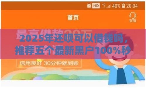2025年还呗可以借钱吗，推荐五个最新黑户100%秒下款的平台