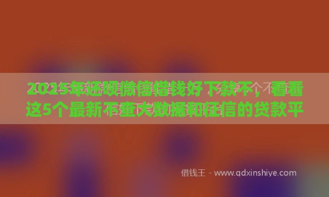 2025年还呗微信借钱好下款不，看看这5个最新不查大数据和征信的贷款平台