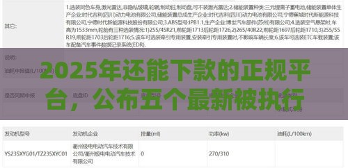 2025年还能下款的正规平台，公布五个最新被执行人黑户可以申请网贷的平台