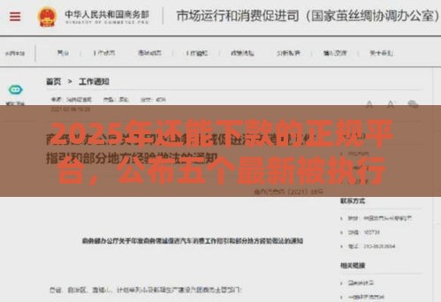 2025年还能下款的正规平台，公布五个最新被执行人黑户可以申请网贷的平台